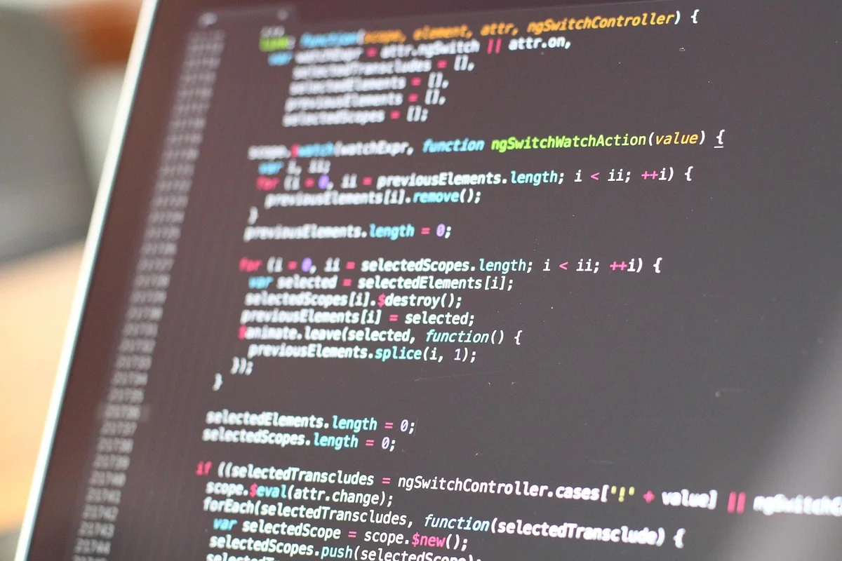 Optimisation du code et du rendu côté serveur