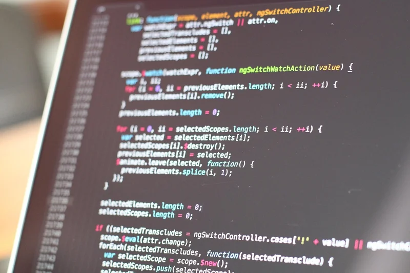 Optimisation du code et du rendu côté serveur